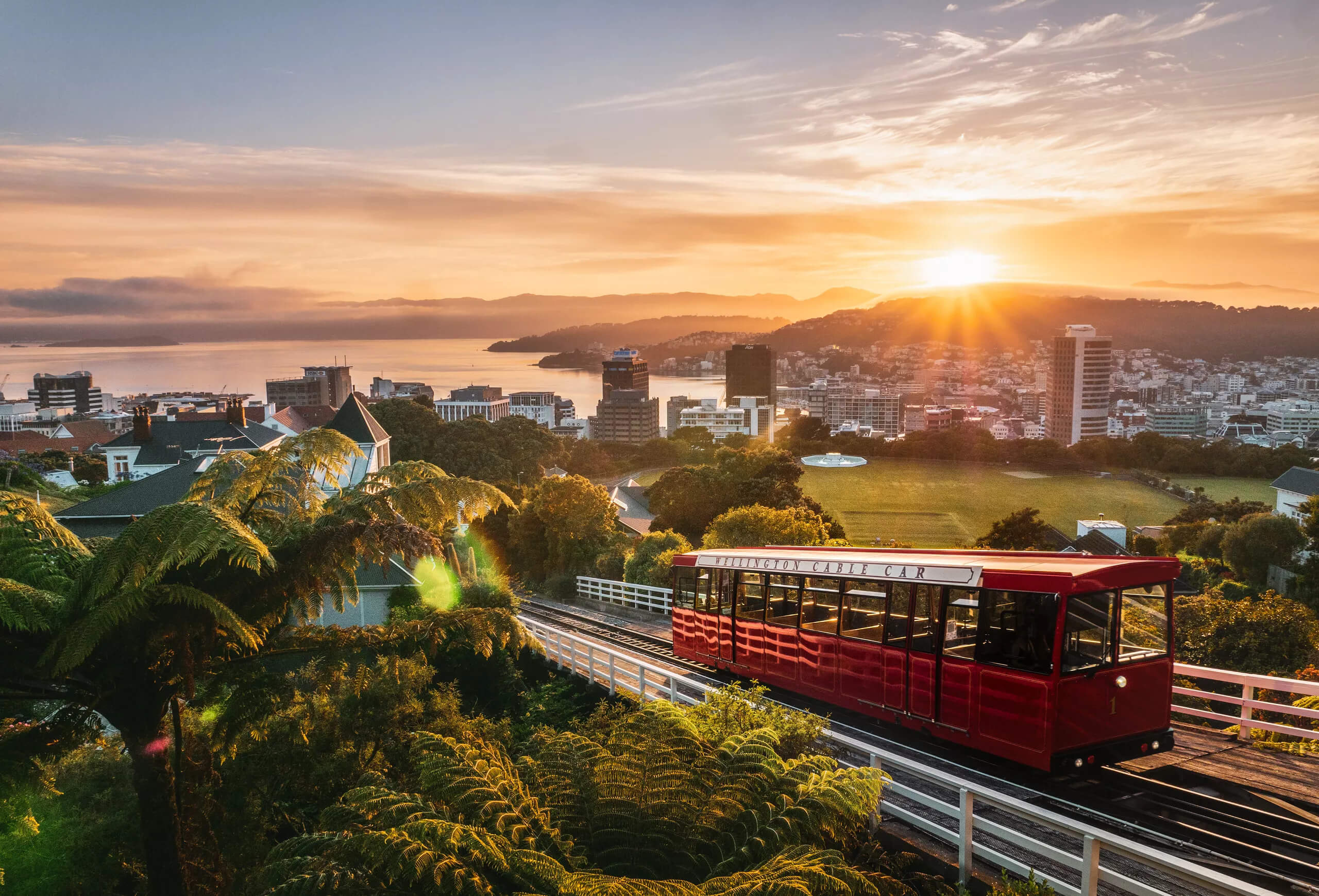 Things to Do in Wellington: See Wellington Before You Go